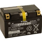 battery-ytz-10-bangalore-gallary-1